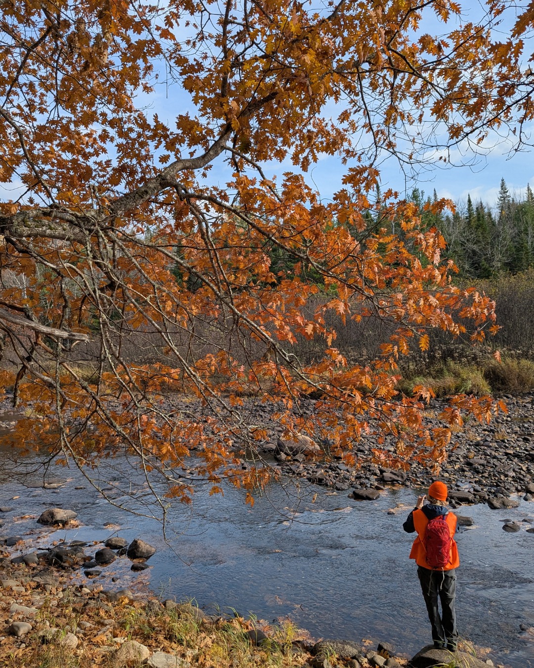 Wabanaki community gathering